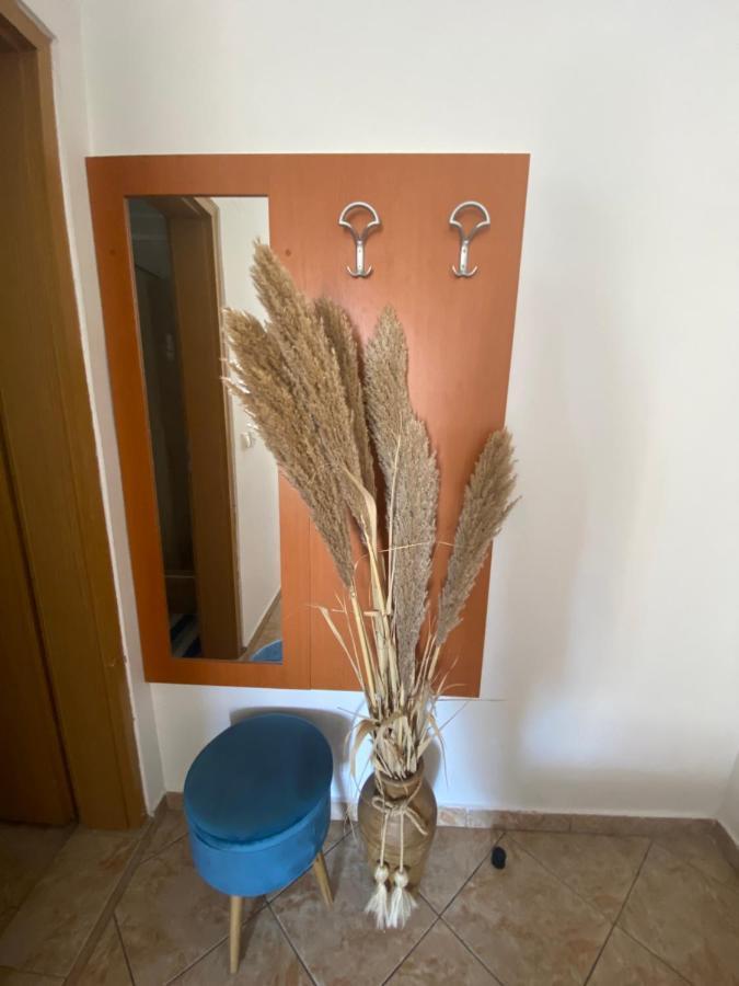 Miomir Perazic Apartments Petrovac Bagian luar foto