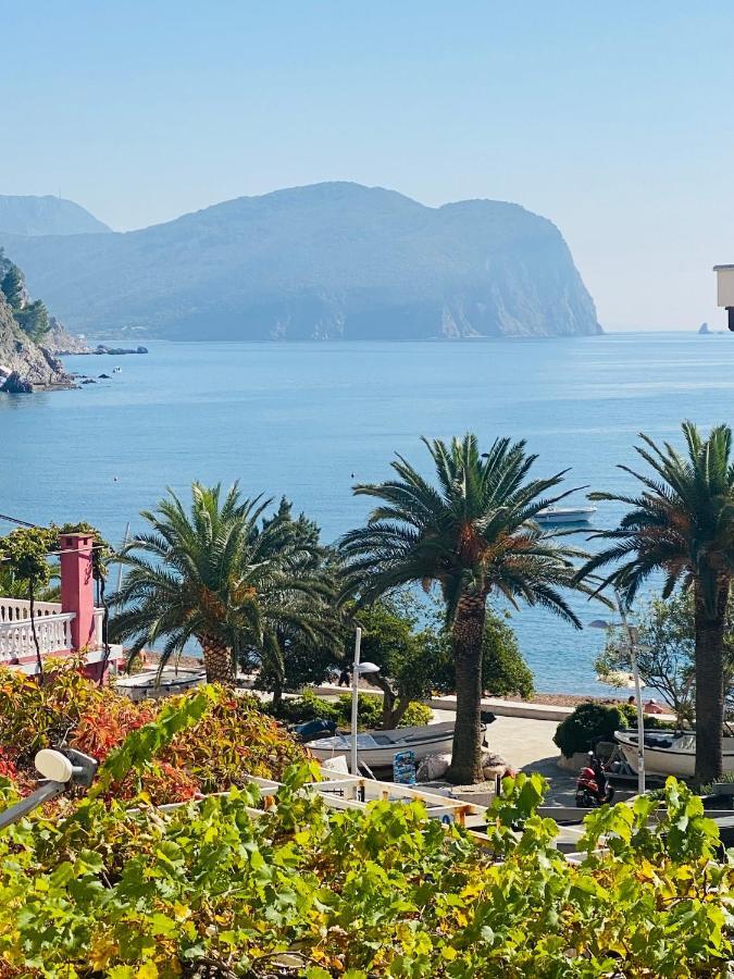 Miomir Perazic Apartments Petrovac Bagian luar foto